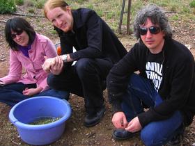 2008---- Cassie, Andrew, Jason (c) Alison Moore.jpg